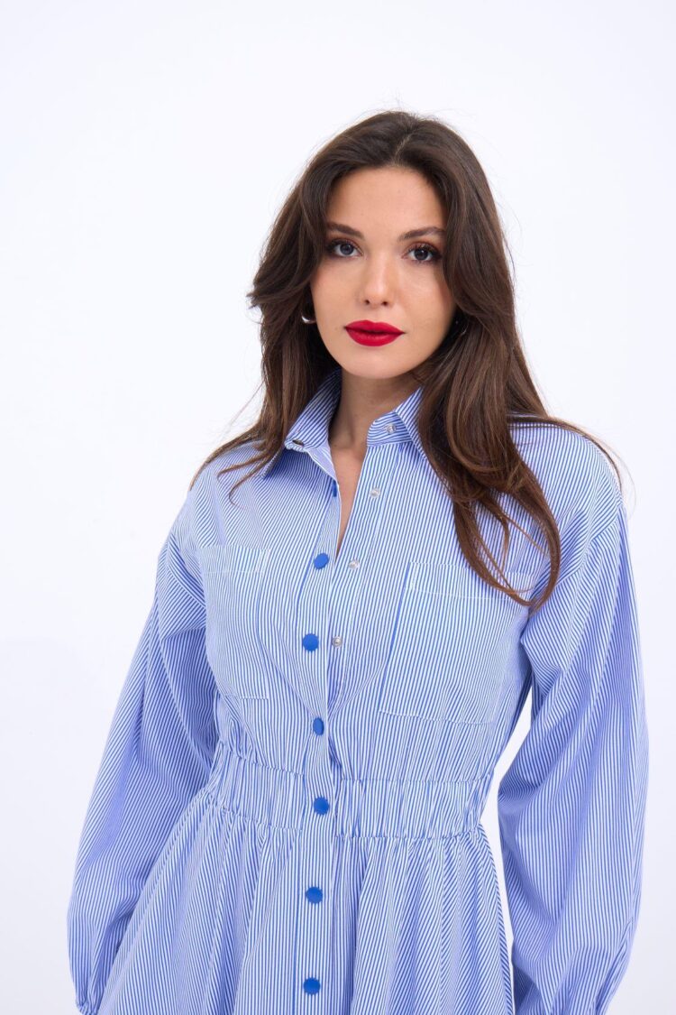 Blue Striped Shirt Dress With Polo Neck