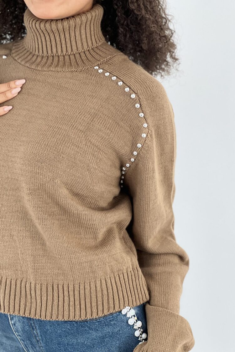 Brown Sweater With Turtle Neck And Long Sleeves