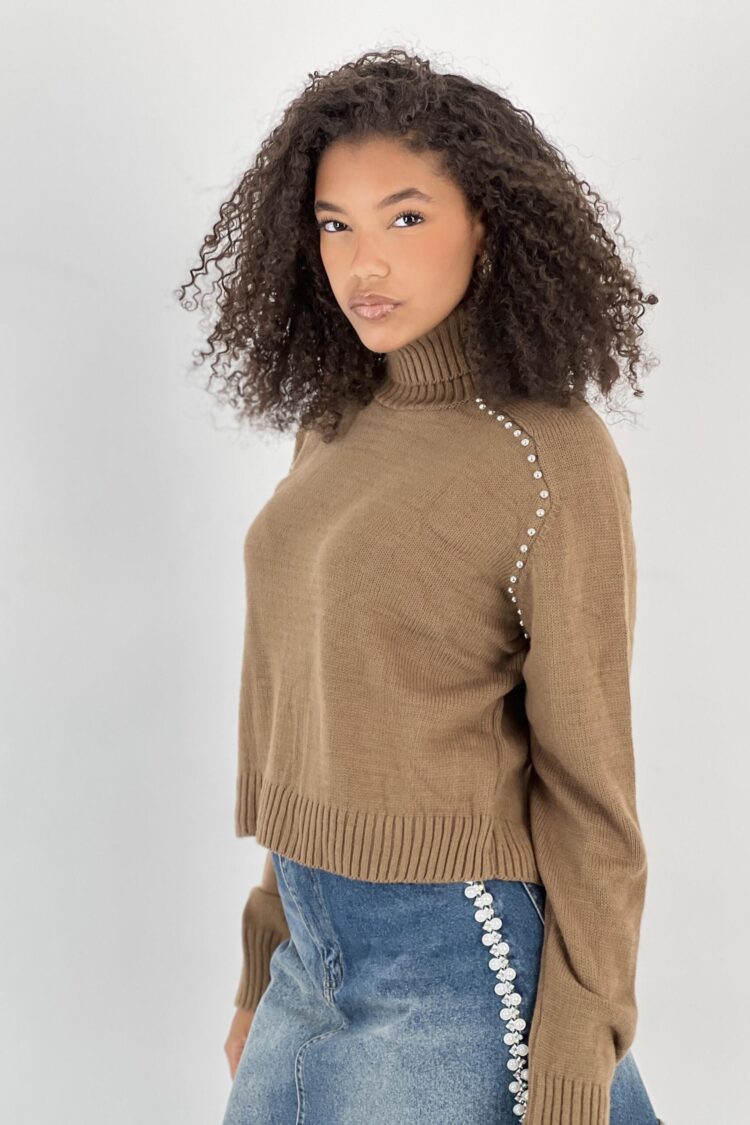 Brown Sweater With Turtle Neck And Long Sleeves