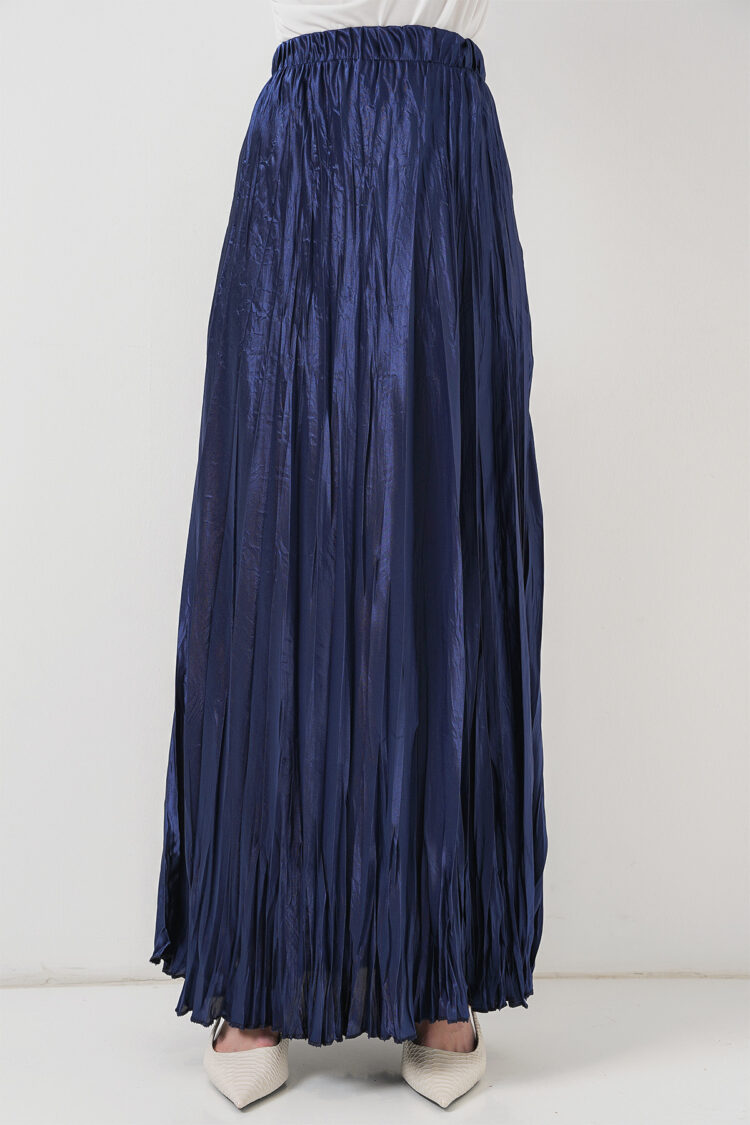 NavyPleated Maxi Skirt With High Waist