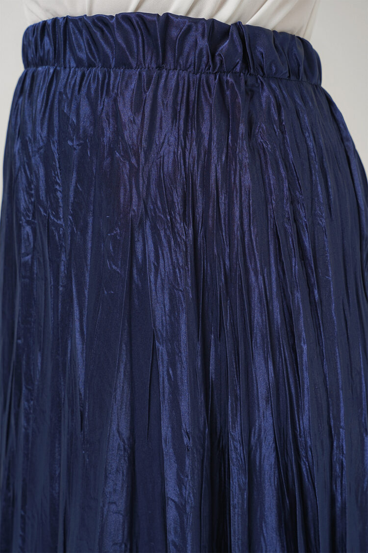 NavyPleated Maxi Skirt With High Waist