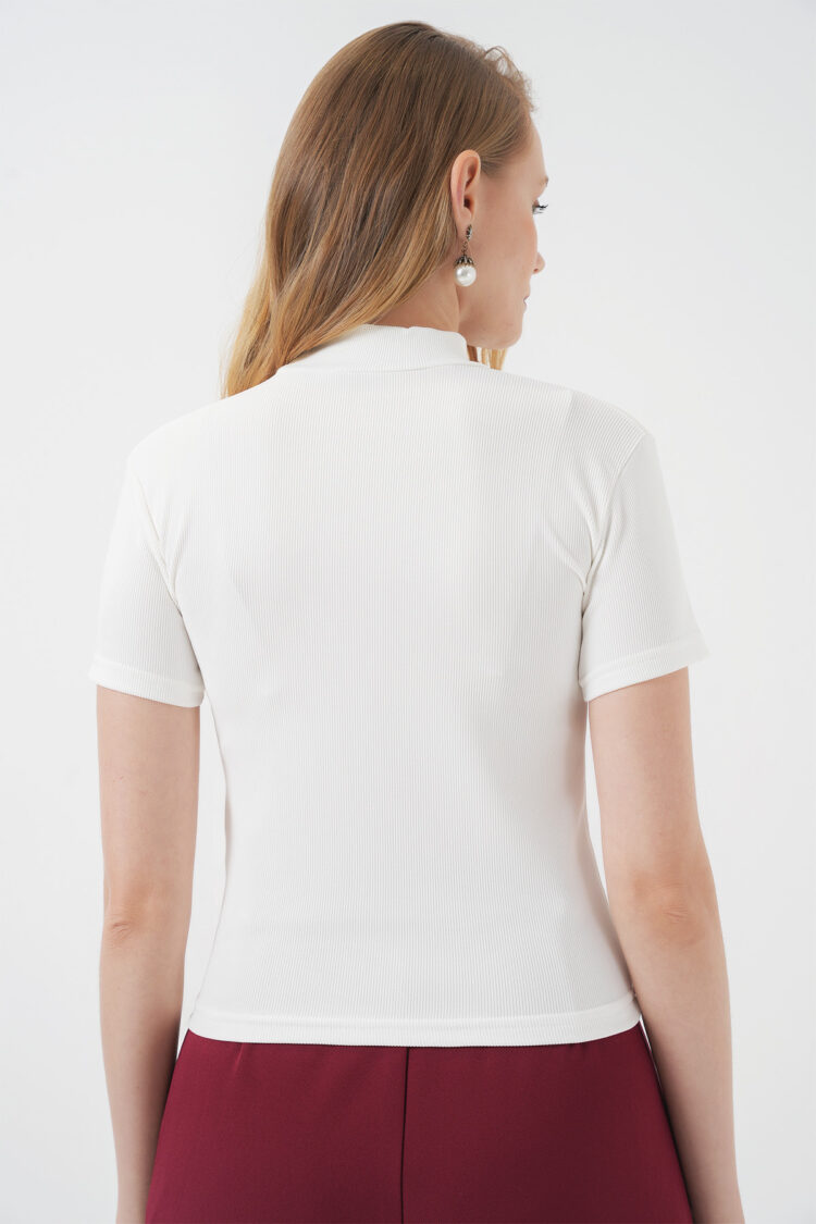 Elegant Slim Fit Blouse With High Neck