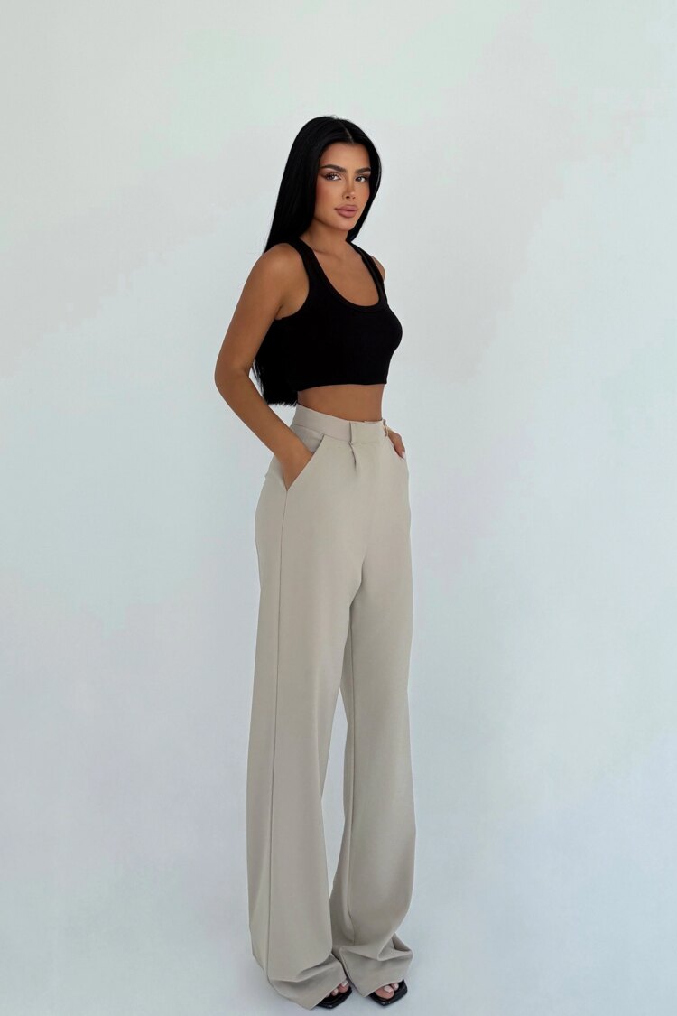 Beige Elegant Formal Casual Palazzo Pants