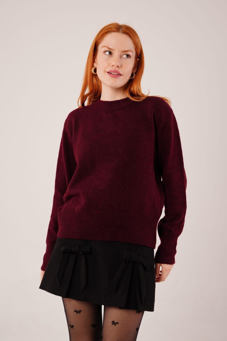 Sweater With High Neck And Long Sleeves