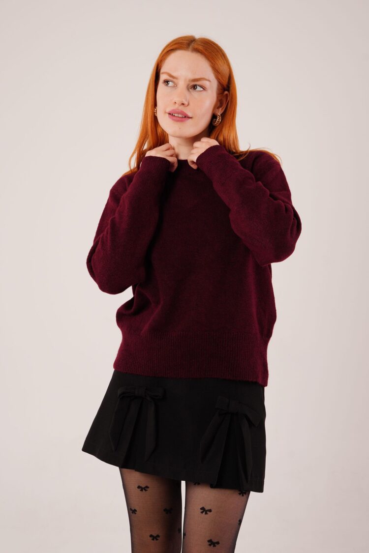 Sweater With High Neck And Long Sleeves