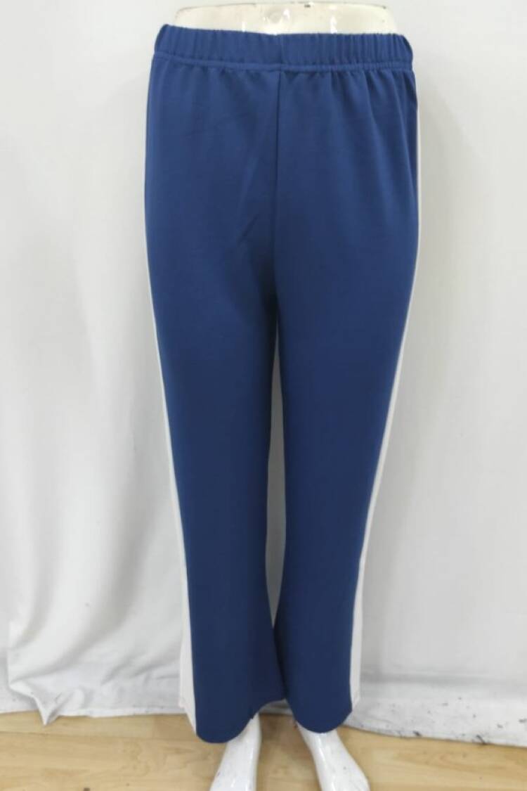 Blue Sport Casual Streetwear Jogger Pants