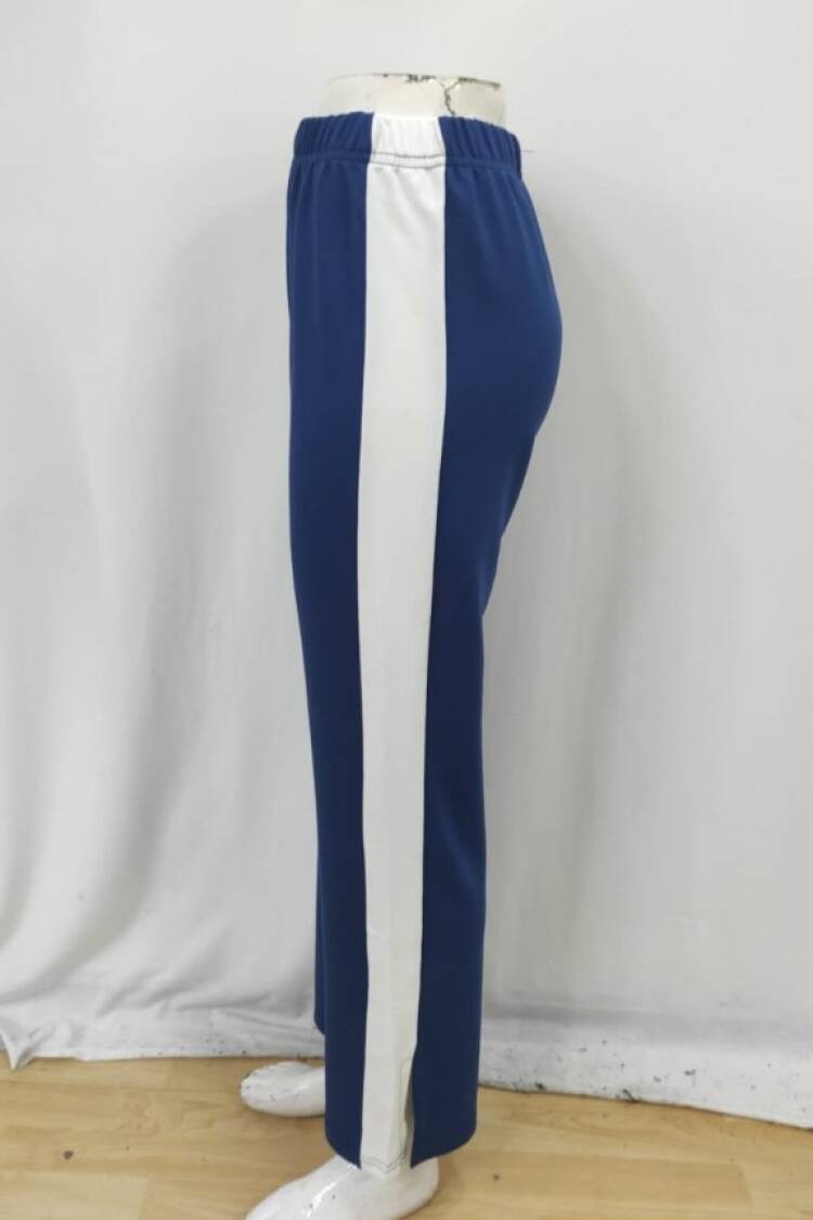 Blue Sport Casual Streetwear Jogger Pants