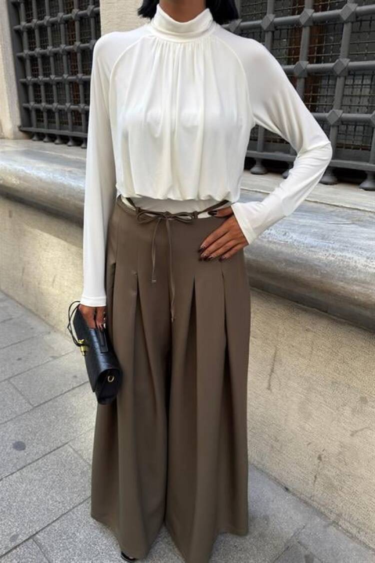 Waistband Detailed Pleated Slippery Pants
