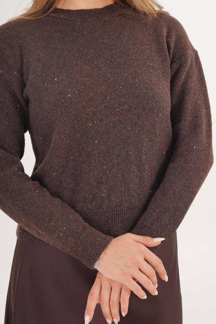 Brown Sequined Sweater With Crew Neck