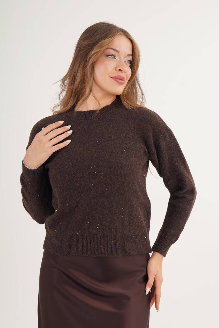 Brown Sequined Sweater With Crew Neck