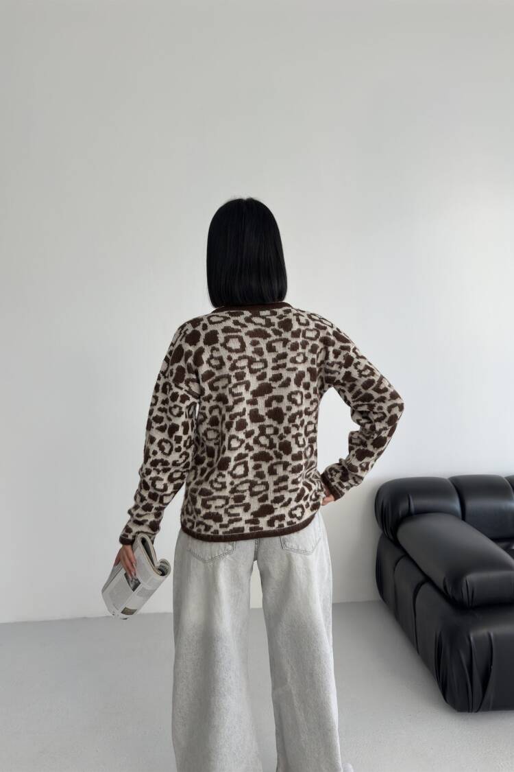 Brown Animal Print Buttoned Cardigan