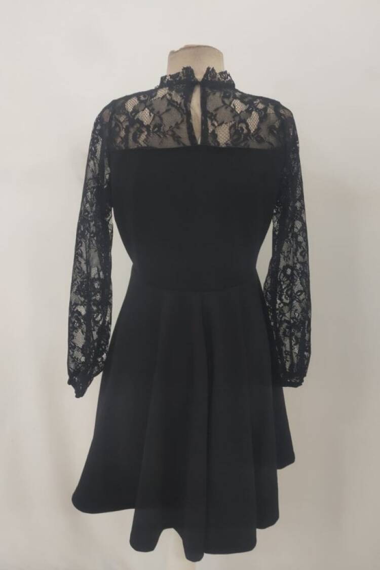 Elegant Black Fit And Flare Mini Dress
