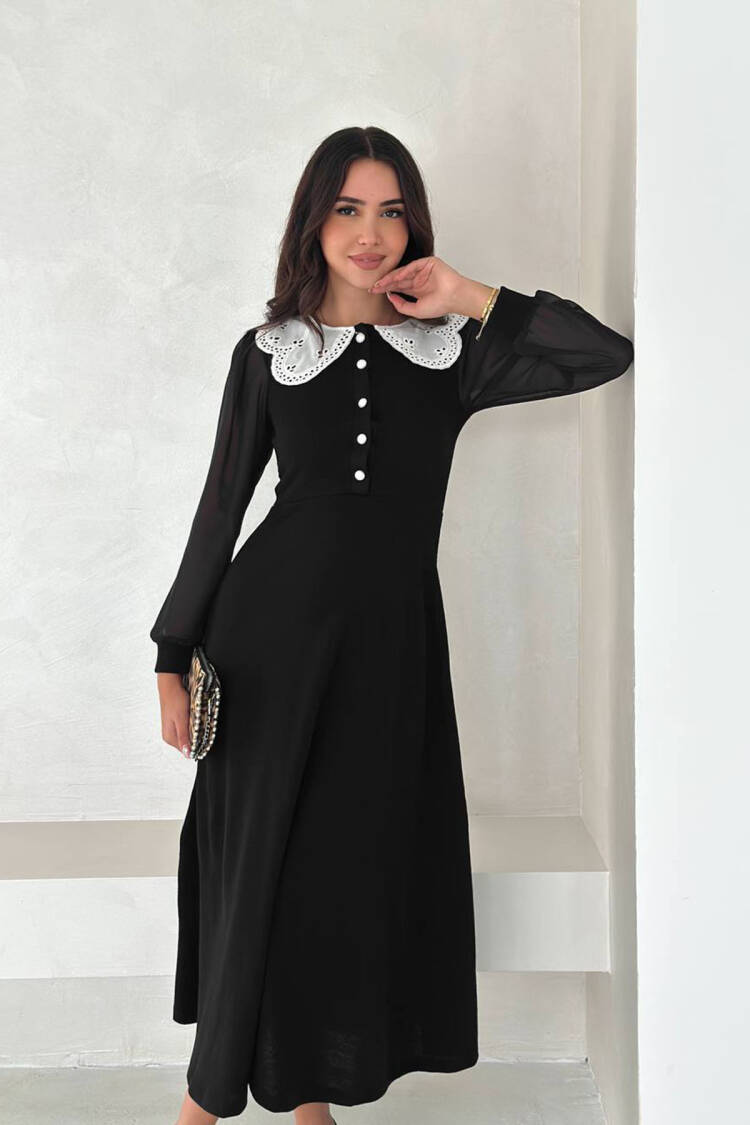 Fit And Flare Dress With Long Sleeves