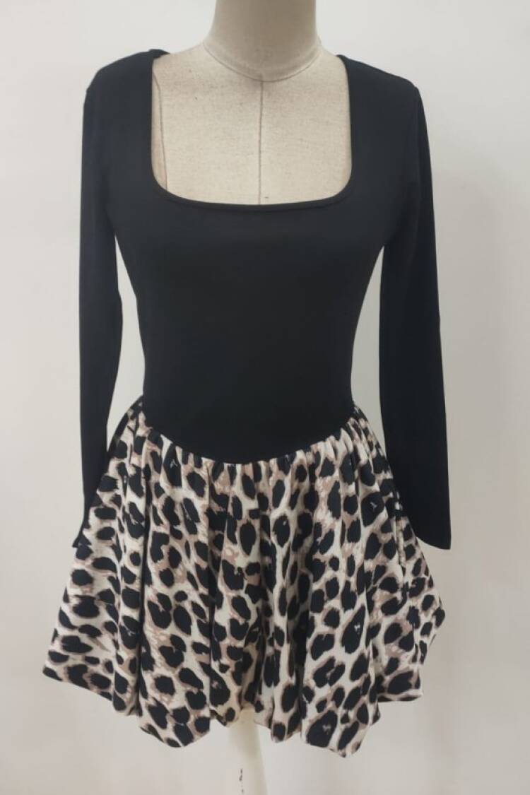 Fit And Flare Mini Dress With Leopard Print