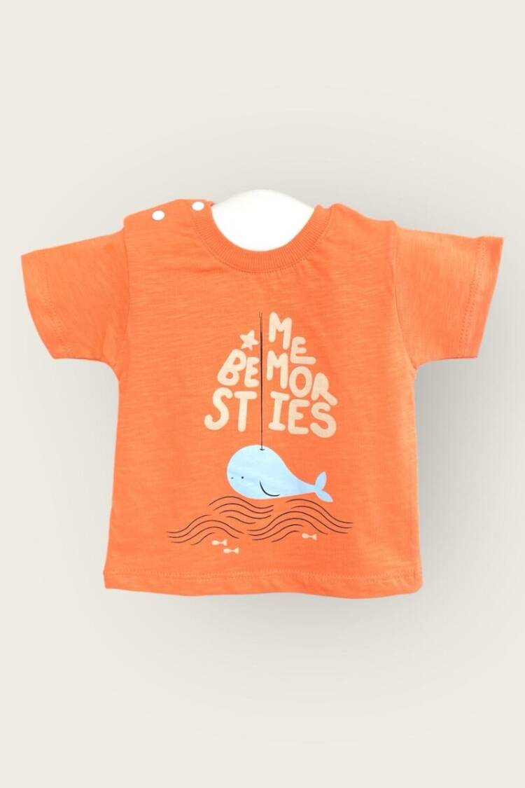 Baby Tops - Toptan Erkek Bebek Tişört 6-18M 2047-3552 - Brand: Algiy Mini - Women & Kids, Baby Clothes Wholesale - Globality Store
