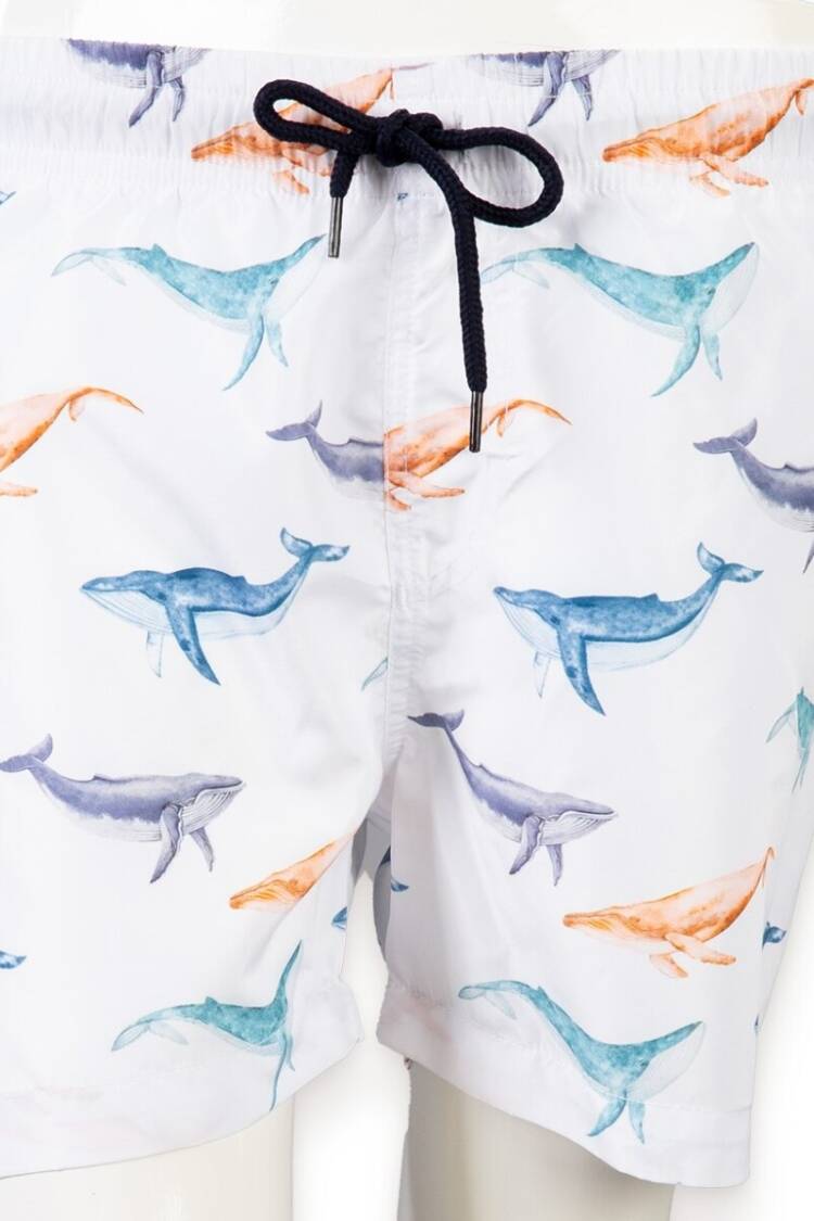 Boys' Underwear & Socks - Toptan Erkek Çocuk Deniz Şortu 3-11Y 2031 - 18 - Brand: Verscon - Women & Kids, Baby Clothes Wholesale - Globality Store