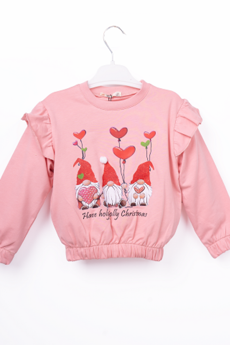 Girls' Tops - Toptan Kız Çocuk Sweatshirt 3-6Y 1016-23256 - Brand: Büşra Bebe - Women & Kids, Baby Clothes Wholesale - Globality Store