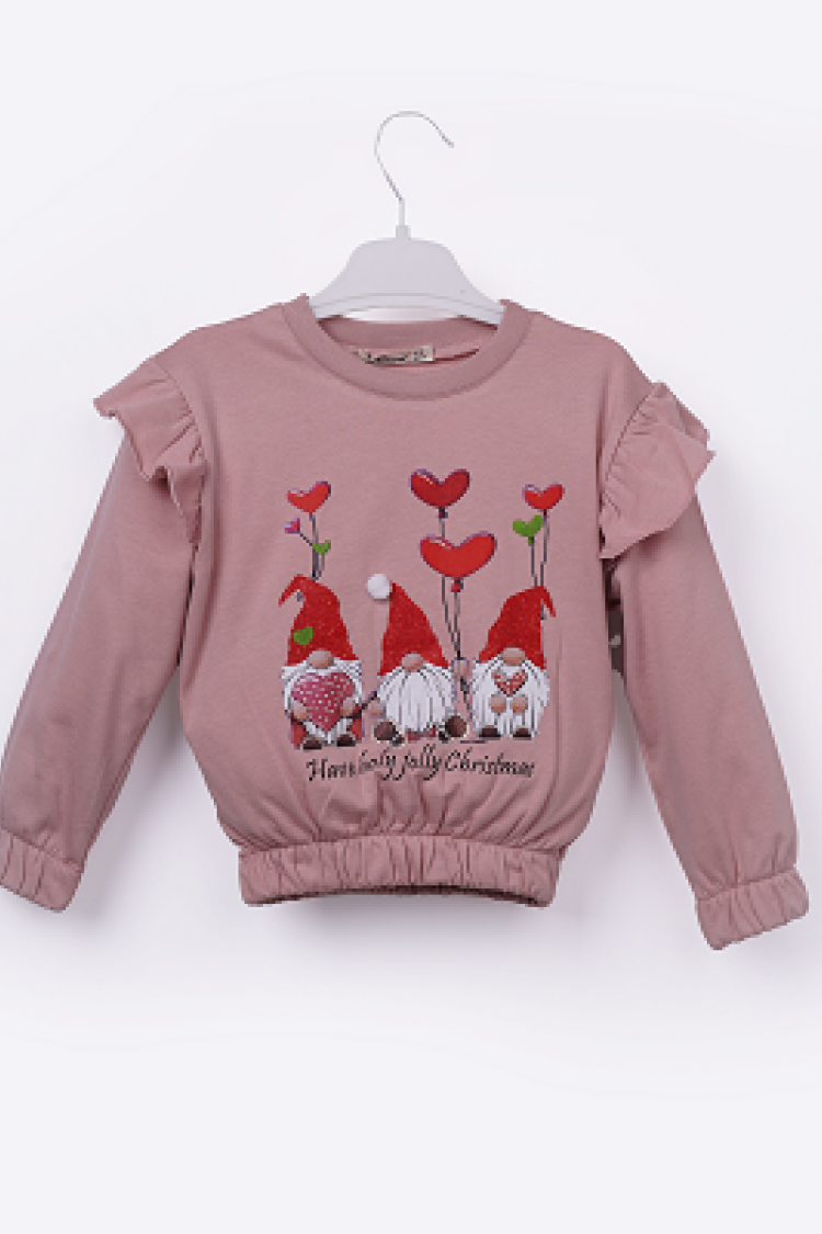 Girls' Tops - Toptan Kız Çocuk Sweatshirt 3-6Y 1016-23256 - Brand: Büşra Bebe - Women & Kids, Baby Clothes Wholesale - Globality Store