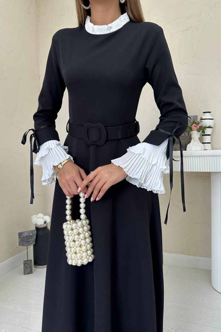 Pleated Collar And Sleeves Dress