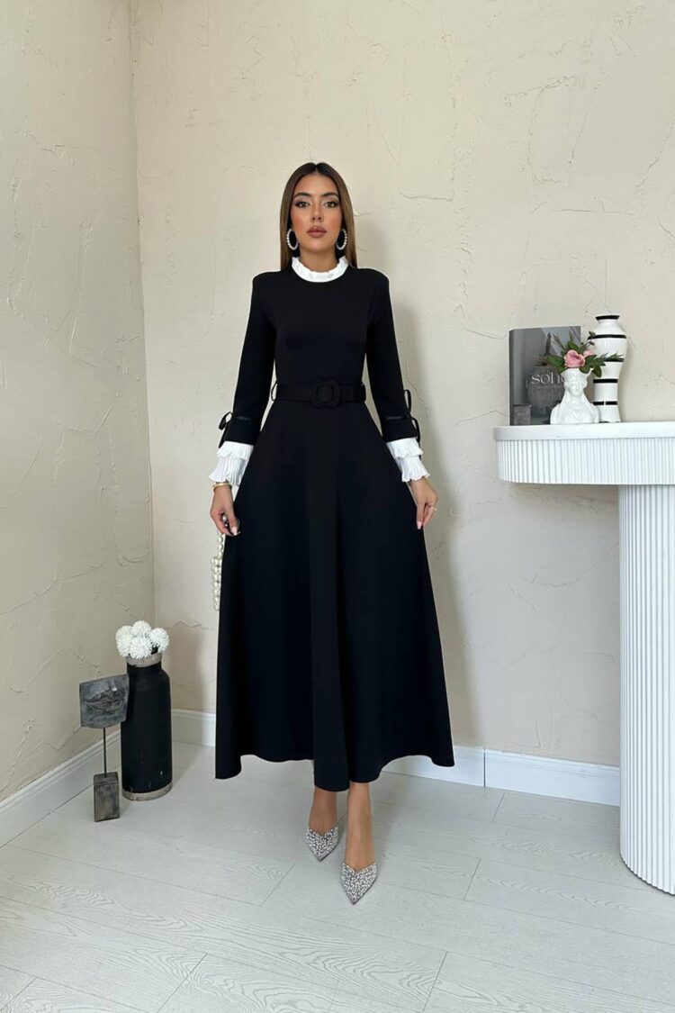 Pleated Collar And Sleeves Dress