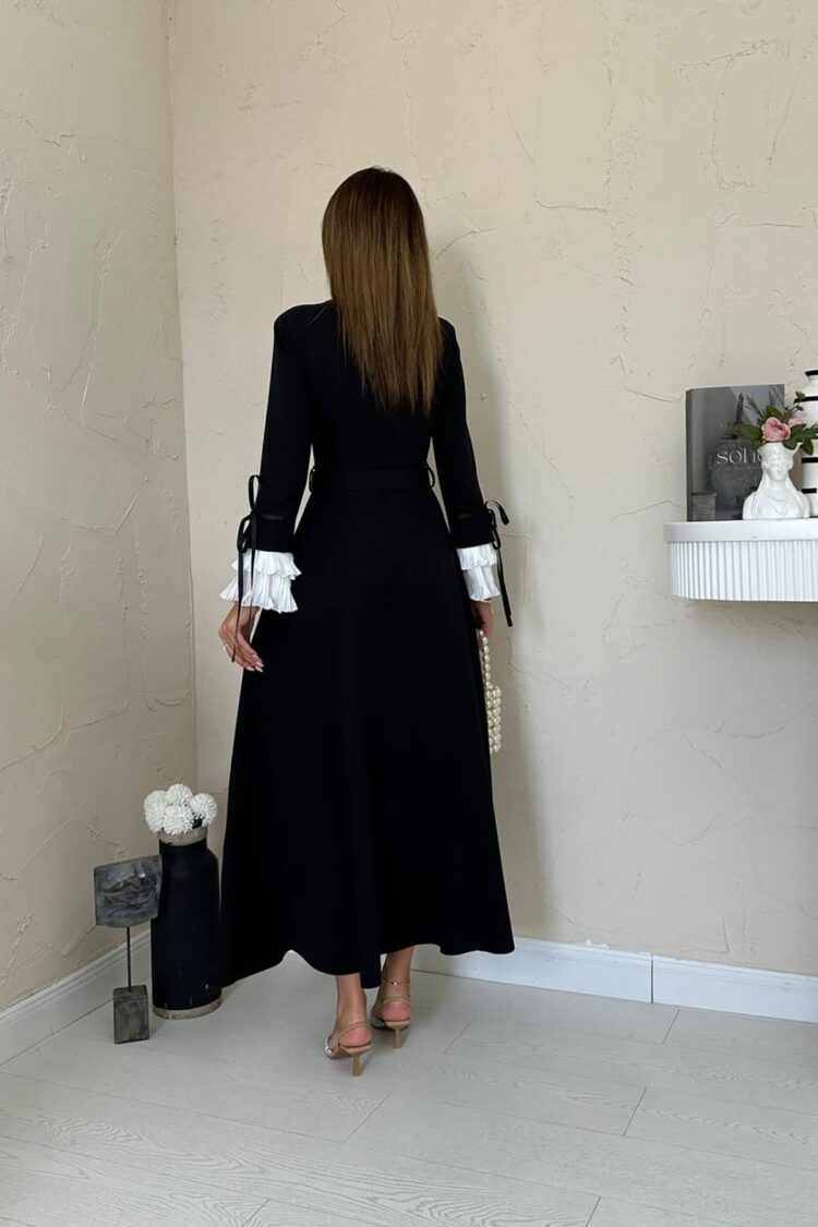 Pleated Collar And Sleeves Dress