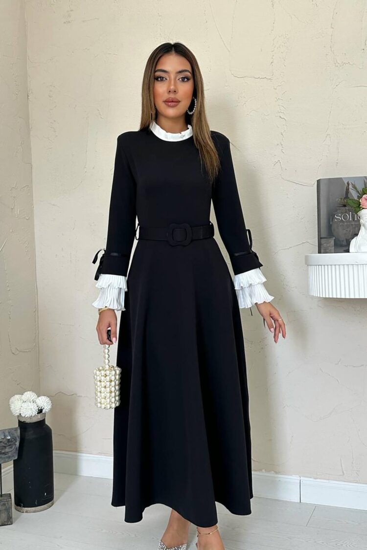 Pleated Collar And Sleeves Dress