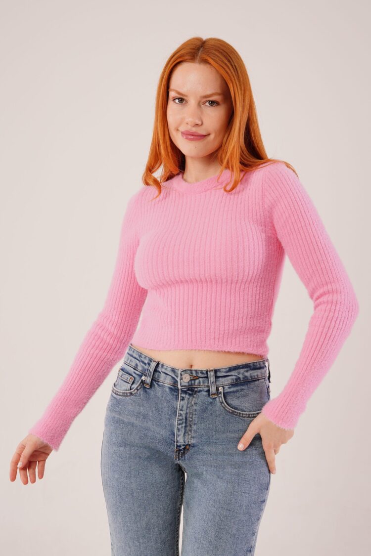 Slim Fit Crop Sweater With Round Neck