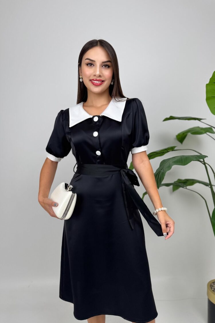 Elegant Fit And Flare Dress