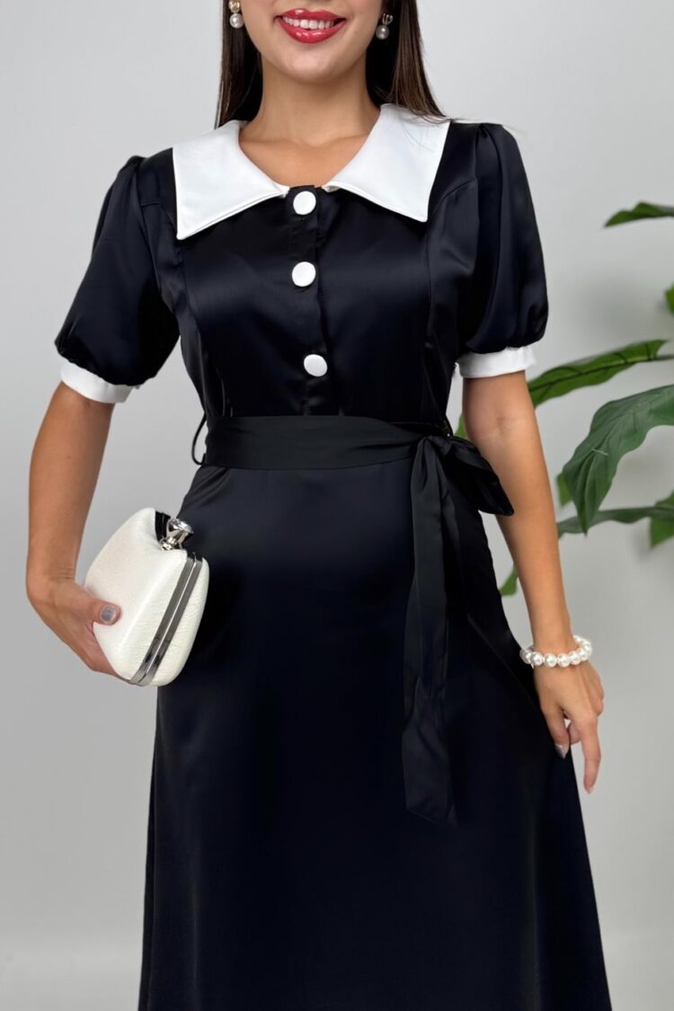 Elegant Fit And Flare Dress