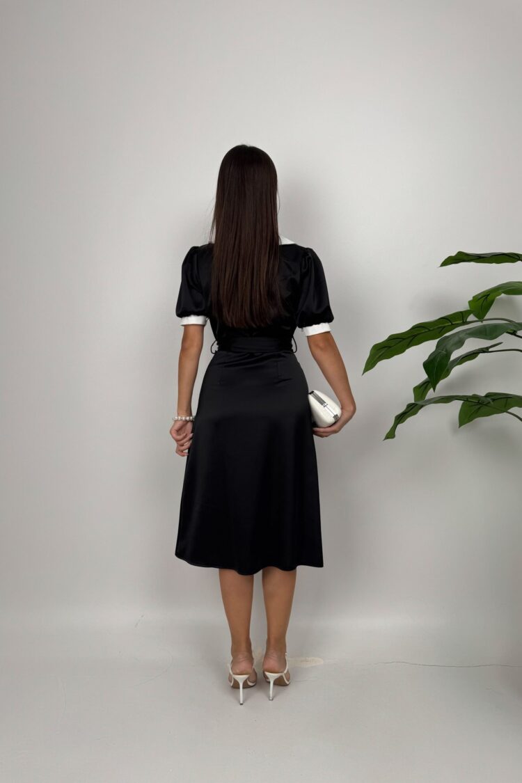 Elegant Fit And Flare Dress