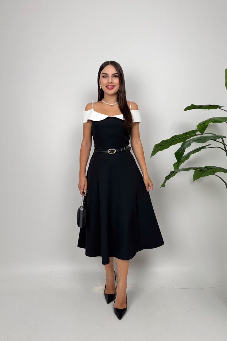 Elegant Fit And Flare Dress