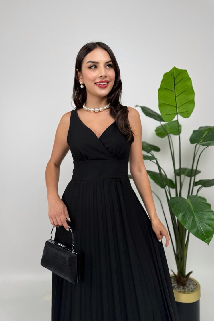 Elegant Fit And Flare Dress