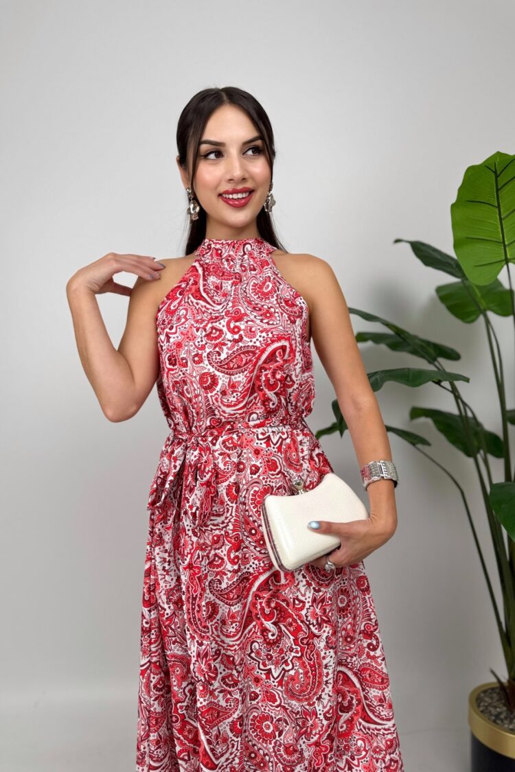 ElegantFit And Flare Halter Neck Dress