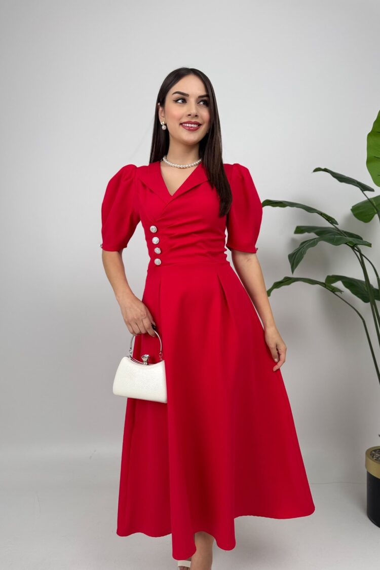 Elegant Fit And Flare Dress With Puff Half Sleeves