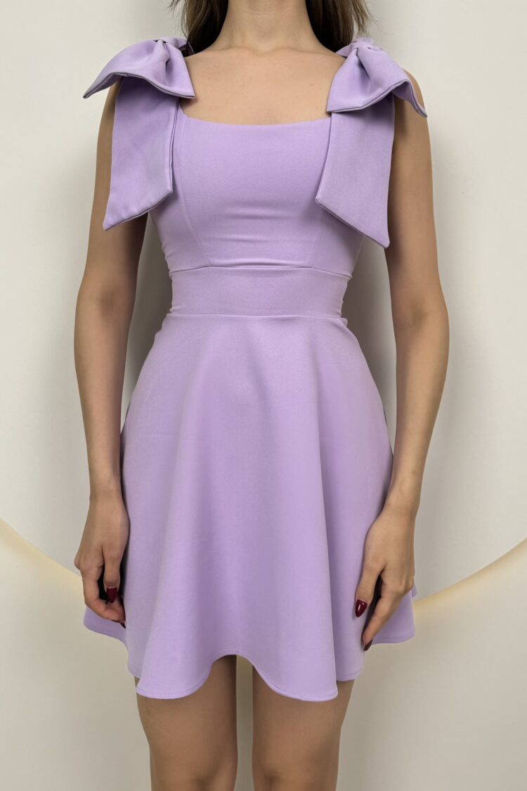 Purple Fit And Flare Mini Dress