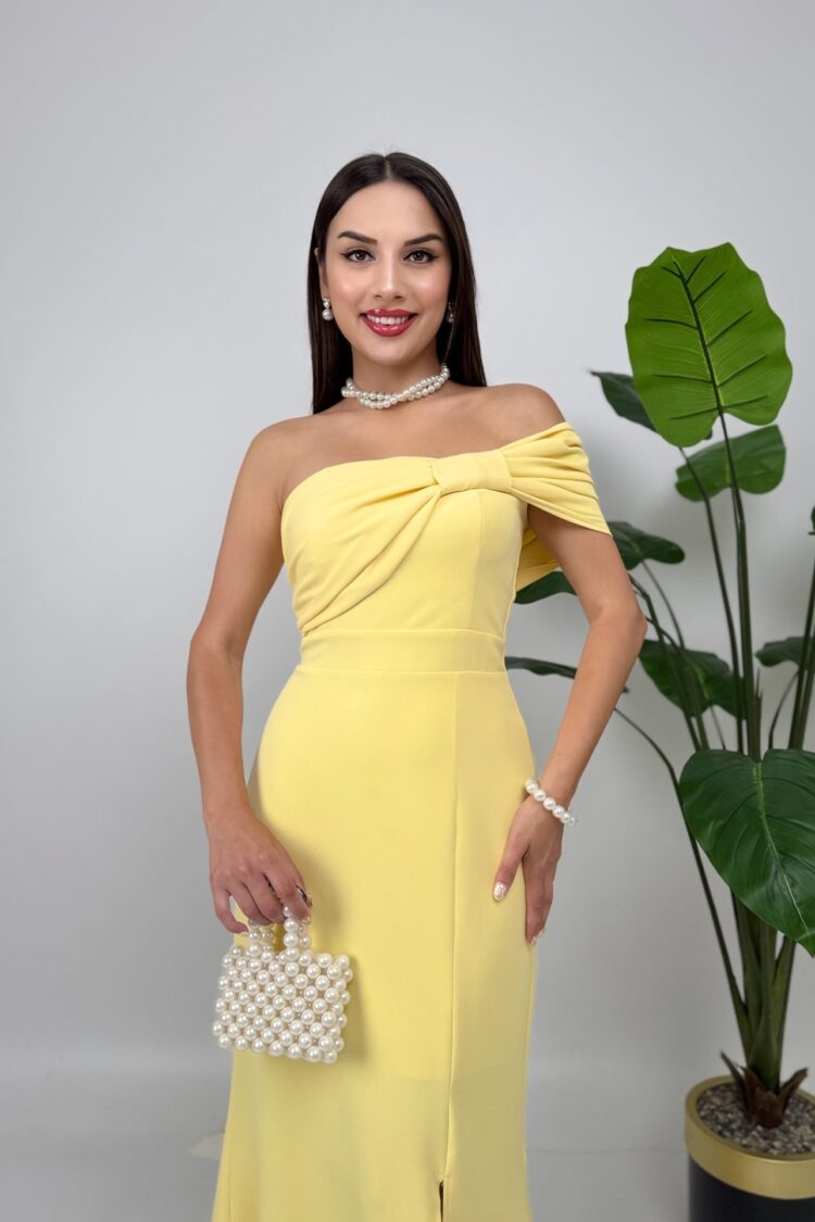 ElegantFit And Flare Dress