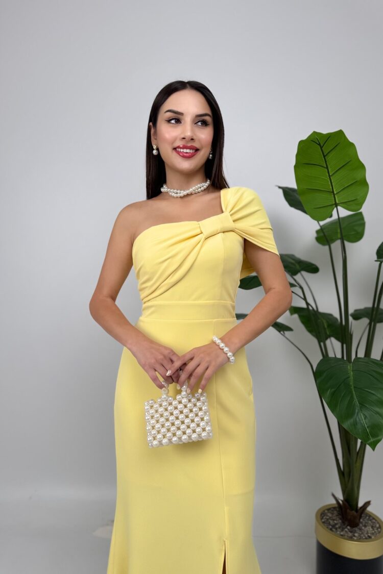 ElegantFit And Flare Dress