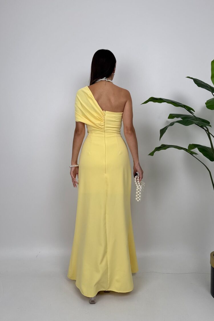 ElegantFit And Flare Dress