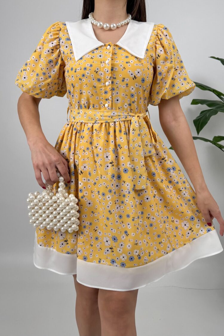 Floral Fit And Flare Dress