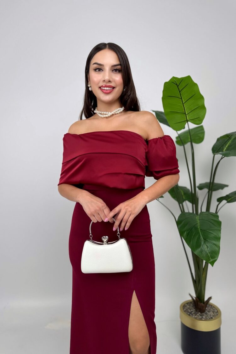 Claret Red Elegant Sheath Dress