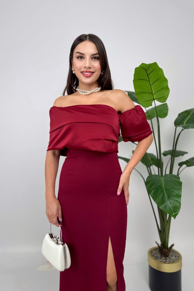 Claret Red Elegant Sheath Dress