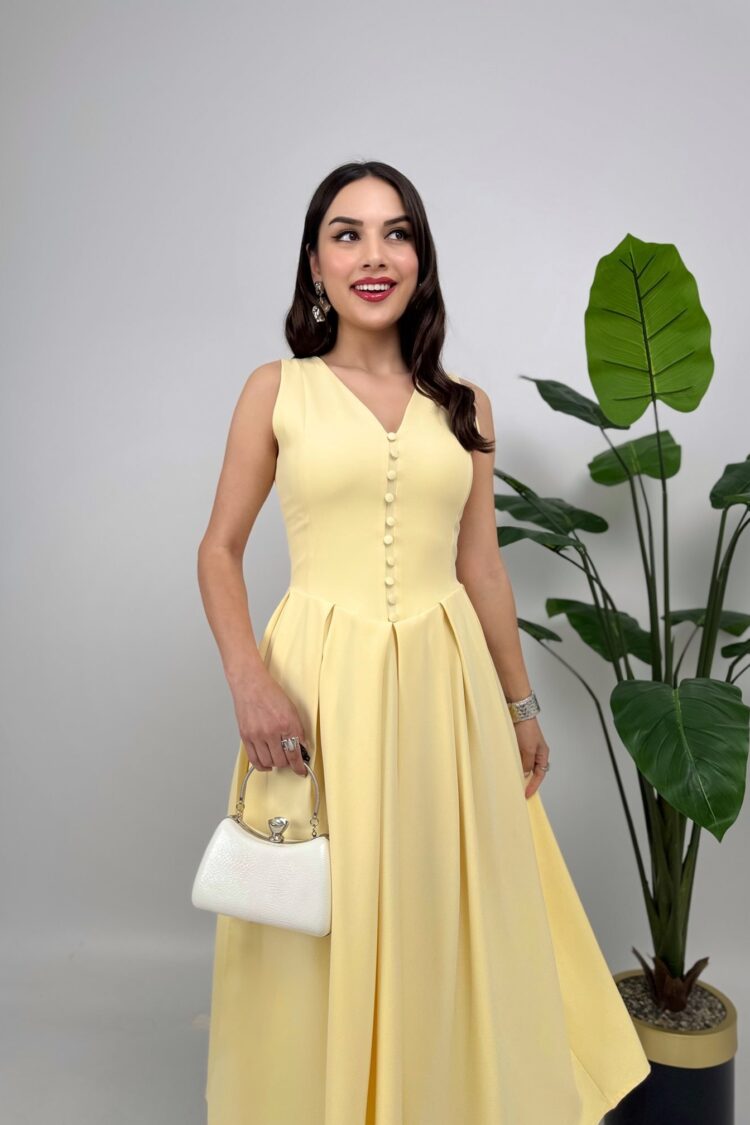 ElegantFit And Flare Dress