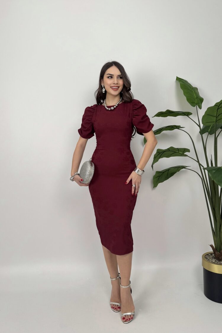 Elegant Formal Sexy Sheath Dress