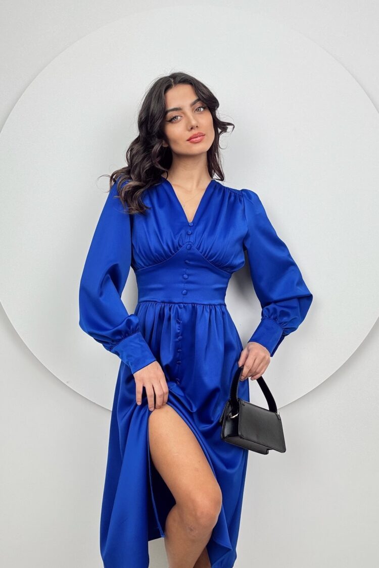 Blue Elegant Fit And Flare Dress