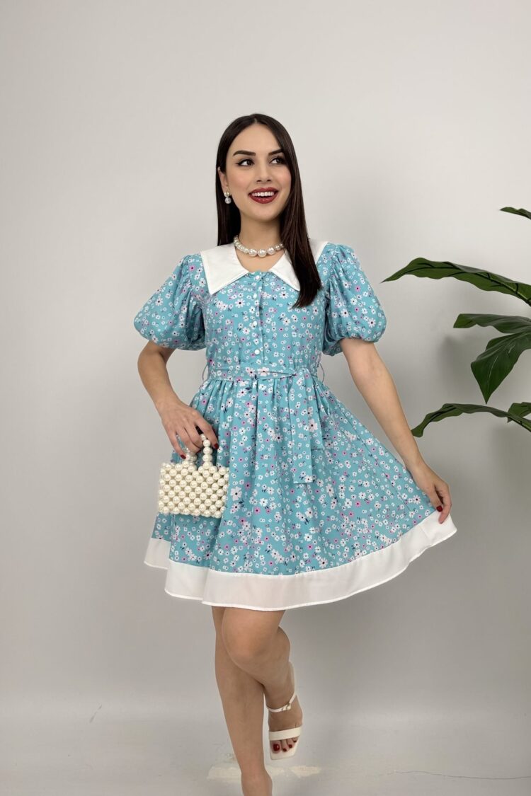 Floral Fit And Flare Mini Dress