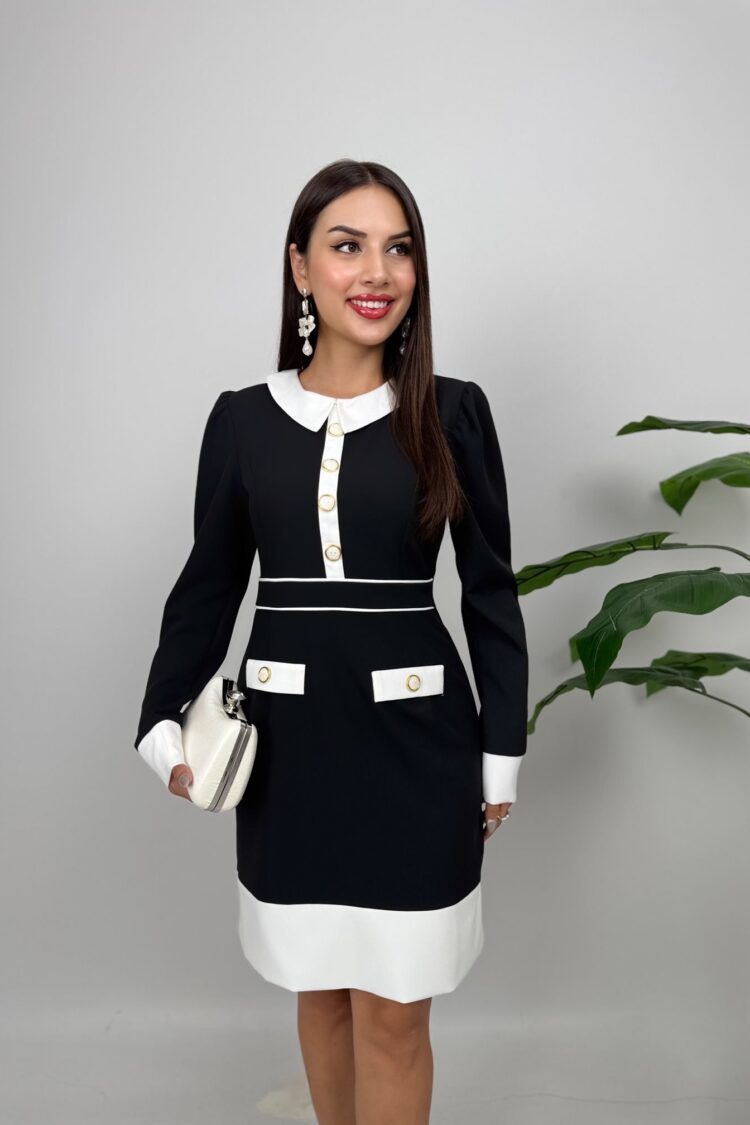 ElegantShift Dress With Puff Sleeves