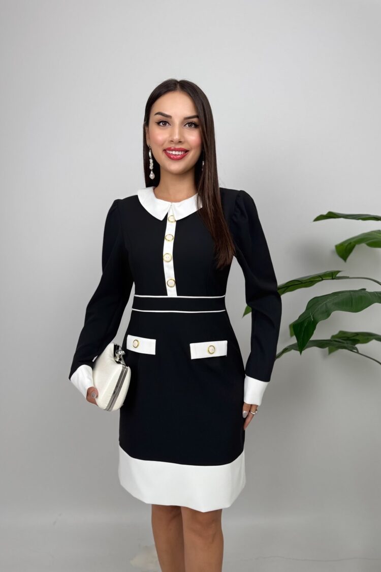 ElegantShift Dress With Puff Sleeves