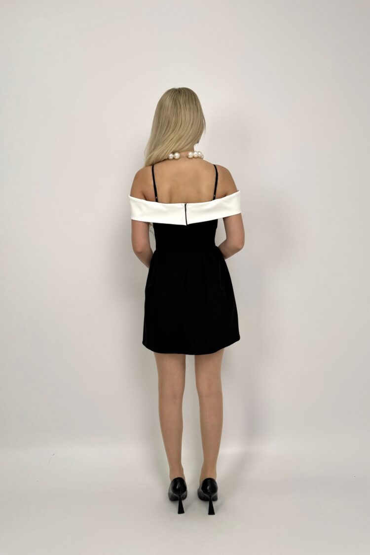 Elegant Fit And Flare Mini Dress