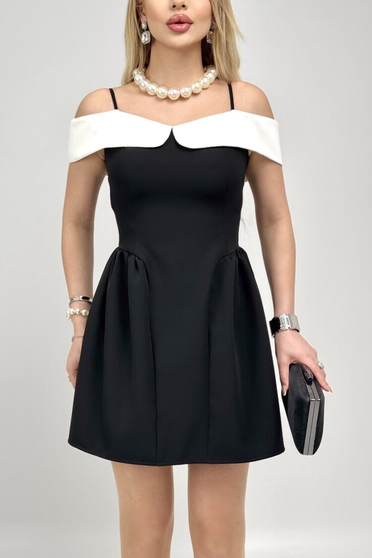 Elegant Fit And Flare Mini Dress