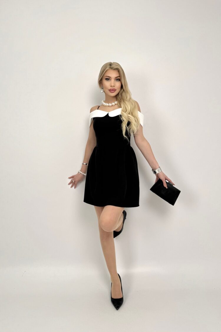 Elegant Fit And Flare Mini Dress